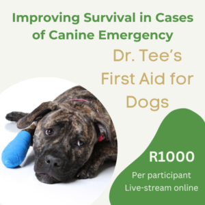 Small Animal First Aid Live Stream
