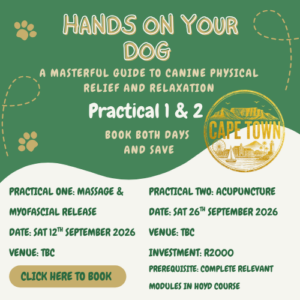 HOYD Practical Workshops Cape Town