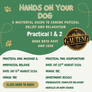 HOYD Practical Workshops Gauteng