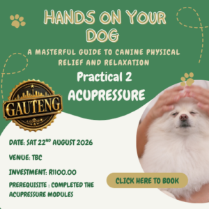 HOYD Acupressure Course Pet-Parent Gauteng