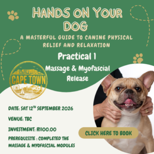 HOYD Massage and Myofascial Release Cape Town