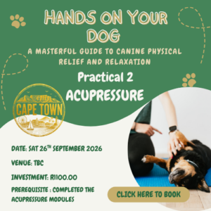 HOYD Acupressure Course Pet-Parent Cape Town