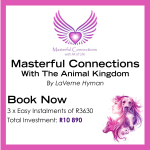 Masterful Connections with the Animal Kingdom Course 3 Payments